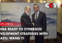 China Ready to Synergize Development Strategies with Brazil: Wang Yi, 25 July 2023
