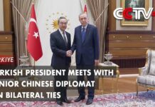 Turkish President Meets with Senior Chinese Diplomat on Bilateral Ties, 27 July 2023