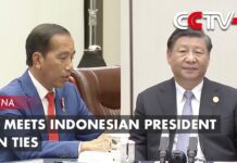 Xi Meets Indonesian President on Ties, 27 July 2023