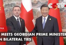 Xi Meets Georgian Prime Minister on Bilateral Ties, 28 July 2023