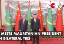 Xi Meets Mauritanian President on Bilateral Ties, 28 July 2023