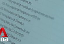 Singapore Sees Rise in Cyber Attacks to Steal User Information, 23 June 2023