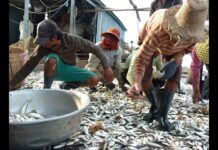 Mekong Water Data Hour: Dam Development & Fish Biodiversity Loss, 26 June 2023