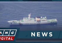 Chinese Ships Persist Near Kalayaan Island in the West PH Sea, 13 July 2023