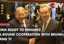 China Ready to Enhance All-round Cooperation with Brunei: Wang Yi, 13 July 2023
