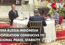 China Russia Indonesia Cooperation Conducive to Regional Peace, Stability Senior Chinese Diplomat, 13 July 2023