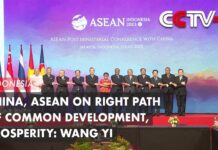 China, ASEAN on Right Path of Common Development, Prosperity: Wang Yi, 14 July 2023