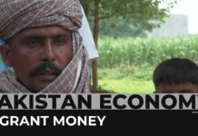 Pakistan Economy: Migrant Remittances Building ‘Mini-Norway’, 2 July 2023