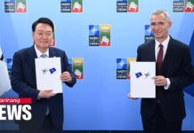 NATO Calls for Complete, Verifiable Denuclearization of N. Korea, as S. Korean Leader Upgrades Ties, 12 July 2023