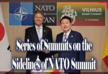 Series of Summits on the Sidelines of NATO Summit, 13 July 2023