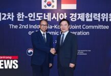 S. Korea-Indonesia to Boost Cooperation, Strengthen Supply Chain for EVs, Batteries, 24 July 2023