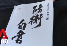 Japan Calls China «Greatest Strategic Challenge» in Annual Defence White Paper, 28 July 2023