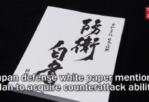 Japan Defense White Paper Mentions Plan to Acquire Counterattack Ability, 31 July 2023