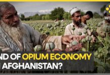 Taliban-Ruled Afghanistan Looks to Replace Opium Dependence, 11 July 2023