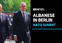 Global Security, Climate Change Dominate Albanese and Scholz Talks, 11 July 2023