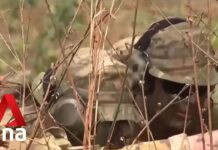 New Zealand’s Defence Review: More Spending, Stronger Ties Needed to Face Future Threats, 4 August 2023