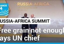 UN Chief Casts Doubts on Russia’s Promise of Free Grain for African Countries, 28 July 2023