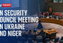 UN Security Council meeting on Ukraine and Niger, 31 July 2023