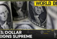 US Dollar’s Dominance Resilient as Global Payments Peak | 25 August 2023