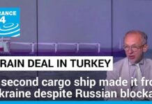 Ukraine Grain Exports: Second Ship Safely Reaches Istanbul Despite Russia Blockade, 29 August 2023