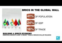Boosting Trade and Reducing Dollar Dependence Top Economic Agenda at BRICS Summit, 22 August 2023