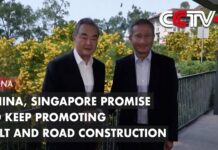 China, Singapore Promise to Keep Promoting Belt and Road Construction, 11 August 2023