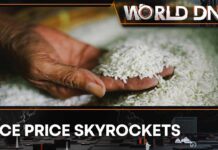 Rice Crisis: Prices Shoot to 15-Year High as Threat to Supply Persists in Asia, 10 August 2023