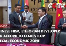 Chinese Firm, Ethiopian Developer Ink Accord to Co-Develop Special Economic Zone, 17 August 2023