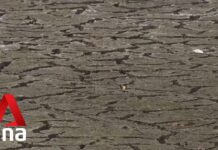 Drought Dents Sri Lanka’s Economic Hopes, Farmers’ Livelihoods, 29 August 2023