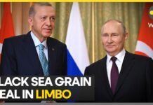 Black Sea Grain Deal: Turkey’s Erdogan Fails to Convince Putin, 4 September 2023