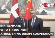 China, Denmark Vow to Strengthen Bilateral, China-Europe Cooperation, 18 August 2023