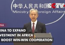 China to Expand Investment in Africa to Boost Win-Win Cooperation: Spokesman, 19 August 2023