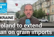 Poland Says Will Extend Ban on Ukraine Grain Imports, 15 September 2023