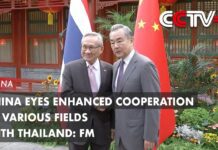 China Eyes Enhanced Cooperation in Various Fields with Thailand: FM, 20 August 2023
