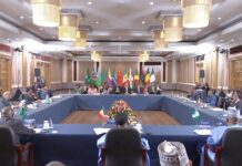 Xi Urges China, Africa to Work Together to Build an Open and Inclusive World Economy, 25 August 2023