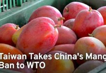 Taiwan Takes China’s Mango Ban to WTO, 23 August 2023