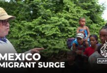 Migrant surge in Mexico: Authorities struggle to cope with influx bound for US, 1 October 2023