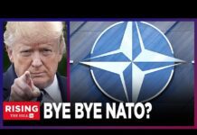 Trump Will Pull USA of NATO Should He Become President: Report, 28 October 2023
