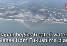 Japan begins treated water release from Fukushima plant, 24 August 2023