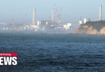 Japan begins seawater investigation following Fukushima wastewater release, 25 August 2023