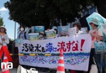 Fukushima wastewater release: Japan steps up testing of seawater, to publish data daily, 25 August 2023