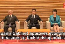 Japan’s Cabinet approves economic measures to tackle rising prices, 2 November 2023