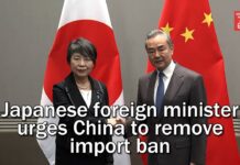 Japanese foreign minister urges China to remove import ban, 28 November 2023