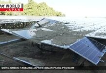 Solar power problem in Japan: it can’t recycle its old panelsーNHK, 1 December 2023