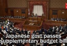 Japanese govt passes supplementary budget bill, 1 December 20223