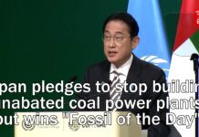 Japan pledges to stop building unabated coal power plants but wins Fossil of the Day award at COP28, 4 December 2023