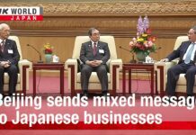 Beijing sends mixed messages to Japanese businessesーNHK, 26 January 2024