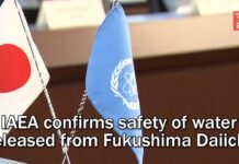 IAEA confirms safety of water released from Fukushima Daiichi, 31 January 2024