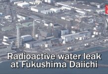 TEPCO says radioactive water has leaked from equipment at Fukushima Daiichi, 8 February 2024