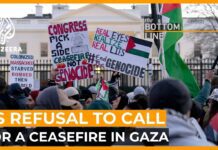 Why does the US refuse to call for a ceasefire in Gaza? with Stephen Walt, | The Bottom Line, 11 February 2024